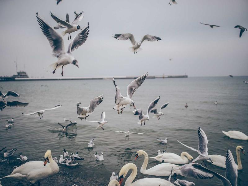 sudoku solver screenshot 6